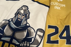 Nový světlý dres Paladins