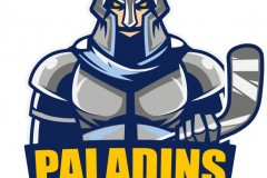 Paladins alternativní logo